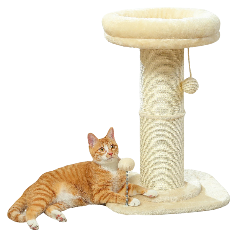 Tour à Griffer Pour Chat Avec Lit