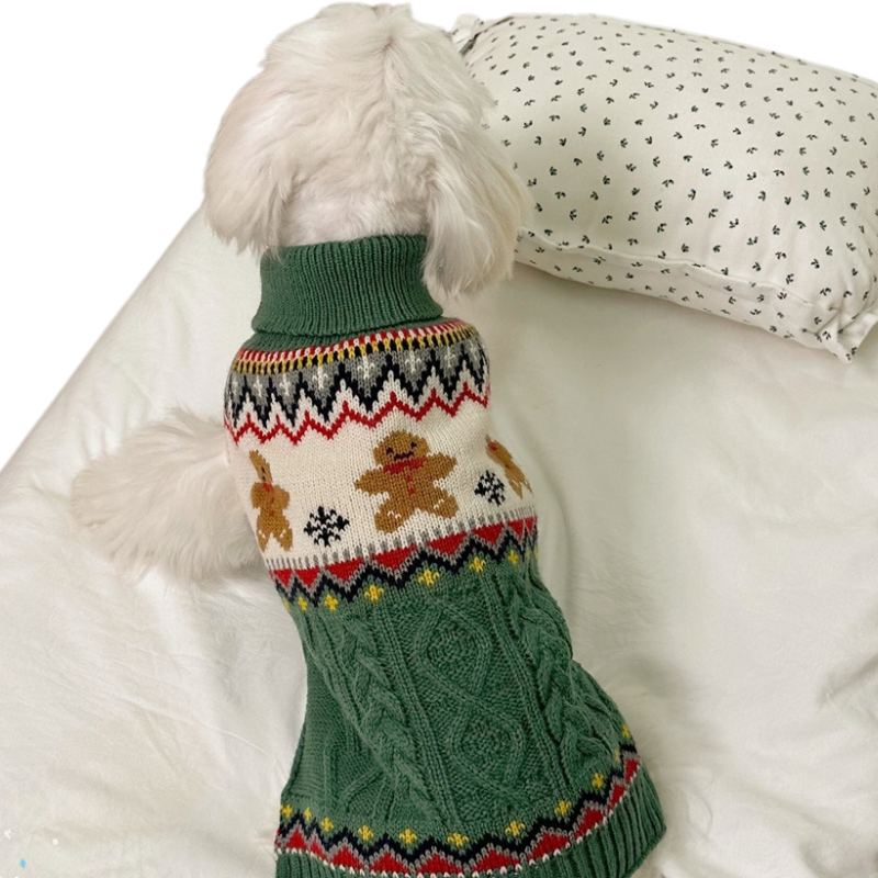 Vêtement Chien Noël