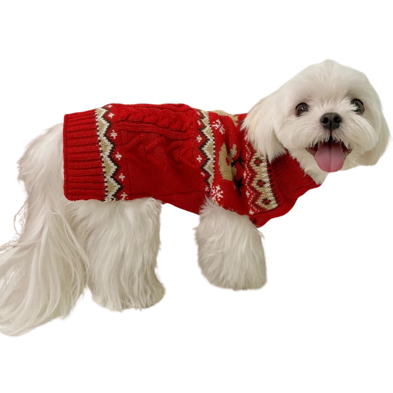 Vêtement Chien Noël