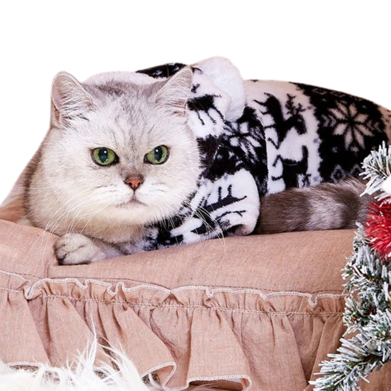 Vêtements de Noël Pour Chiens et Chats
