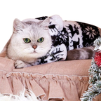 Vêtements de Noël Pour Chiens et Chats